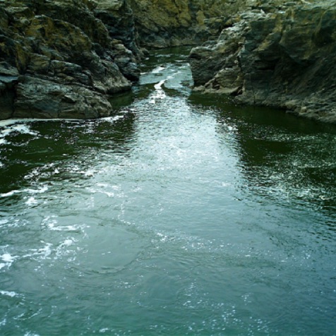 Possibly the most difficult place I know to fish. Home to hundreds of monster barbel!